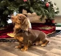 processed/87adeb19-579b-4250-bc4b-55a4ec0331d9/facility/3e587b07-83c0-4aa6-9aec-73779d1c5624