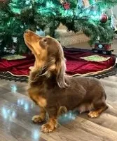 processed/87adeb19-579b-4250-bc4b-55a4ec0331d9/facility/74f2ab1f-2ff5-4080-8646-ce63988c6066