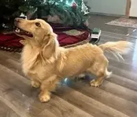 processed/87adeb19-579b-4250-bc4b-55a4ec0331d9/facility/85378428-2387-4e7e-b69f-b4cf8f55b834