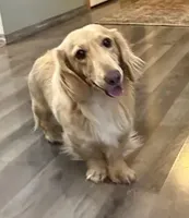 processed/87adeb19-579b-4250-bc4b-55a4ec0331d9/facility/bee32389-1270-4b6b-8061-c45e040795db