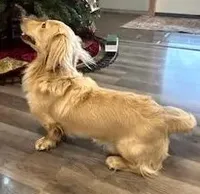 processed/87adeb19-579b-4250-bc4b-55a4ec0331d9/facility/df980e2e-c589-43cb-a597-c60b89dbcf08