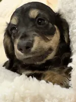 processed/87adeb19-579b-4250-bc4b-55a4ec0331d9/listing/1faac0c1-014c-41e0-b2c3-11a58cdc09d1/4743125b-15b0-4f82-956d-253d3aa83710