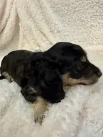 processed/87adeb19-579b-4250-bc4b-55a4ec0331d9/listing/1faac0c1-014c-41e0-b2c3-11a58cdc09d1/6bbc3179-a4f3-4b8d-bc3a-e9f0e5635f6c