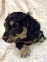 processed/87adeb19-579b-4250-bc4b-55a4ec0331d9/listing/1faac0c1-014c-41e0-b2c3-11a58cdc09d1/8167e47e-0cac-424e-9e47-722662379c30