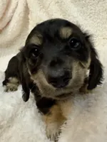 processed/87adeb19-579b-4250-bc4b-55a4ec0331d9/listing/1faac0c1-014c-41e0-b2c3-11a58cdc09d1/8960bf5a-3ca0-44a3-9ec0-a32ed2702dab