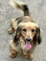 processed/87adeb19-579b-4250-bc4b-55a4ec0331d9/listing/1faac0c1-014c-41e0-b2c3-11a58cdc09d1/bfc047e3-317e-49d7-9fb0-dd553305b7af