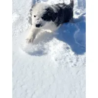 processed/87bf2039-061e-4690-a8be-e016fafcec4b/listing/83531440-9389-4479-9419-2f49a617dbd2/134d98d7-6e16-40de-8505-df674f4c53e8