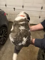 processed/87bf2039-061e-4690-a8be-e016fafcec4b/listing/83531440-9389-4479-9419-2f49a617dbd2/a6caefbc-9134-4b62-8444-fb33221505e6