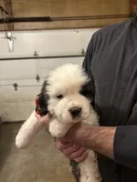 processed/87bf2039-061e-4690-a8be-e016fafcec4b/listing/83531440-9389-4479-9419-2f49a617dbd2/aacf071d-3e12-4878-9523-eee19d3f0472