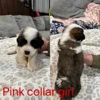 processed/87bf2039-061e-4690-a8be-e016fafcec4b/listing/a8304b9a-53d3-429f-9037-811151eb179c/755bf74a-b781-4763-bd65-6ce4468bd02a