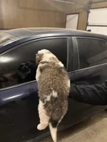 processed/87bf2039-061e-4690-a8be-e016fafcec4b/listing/a8304b9a-53d3-429f-9037-811151eb179c/a38e9afe-baff-4056-b9c1-2e4834b797c5