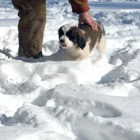 processed/87bf2039-061e-4690-a8be-e016fafcec4b/listing/a8304b9a-53d3-429f-9037-811151eb179c/eb46eecc-141e-4fad-9d2a-cd5625954446