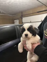 processed/87bf2039-061e-4690-a8be-e016fafcec4b/listing/a8304b9a-53d3-429f-9037-811151eb179c/f03d0d41-1534-46f5-8365-3e3d7fc3081a