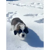 processed/87bf2039-061e-4690-a8be-e016fafcec4b/listing/a8304b9a-53d3-429f-9037-811151eb179c/fe72ecb0-391b-4b16-822d-c83cc0d6e448