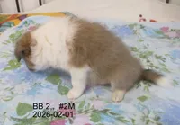 processed/87cbb735-272b-468d-babc-acc1a0fbe42f/listing/e8b94a06-9b6c-463d-904b-d73ef5f448e5/2f151bb8-a289-41eb-ae2f-6fdcca1f8f4a