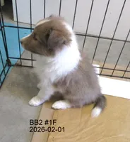 processed/87cbb735-272b-468d-babc-acc1a0fbe42f/listing/e8b94a06-9b6c-463d-904b-d73ef5f448e5/306cc57b-9fb3-4f1b-a7b0-bf34dbf7df2c