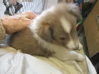 processed/87cbb735-272b-468d-babc-acc1a0fbe42f/listing/e8b94a06-9b6c-463d-904b-d73ef5f448e5/352ea1e2-38f1-43b4-a97a-80ee467abd6d