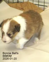 processed/87cbb735-272b-468d-babc-acc1a0fbe42f/listing/e8b94a06-9b6c-463d-904b-d73ef5f448e5/84d5881a-2f8f-49ac-80b9-0bf6ebde41d3