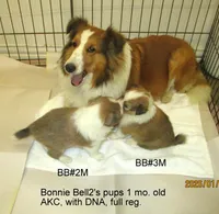 processed/87cbb735-272b-468d-babc-acc1a0fbe42f/listing/e8b94a06-9b6c-463d-904b-d73ef5f448e5/9f27a90a-1f08-49d4-84ba-90fc7bb762cb