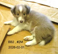 processed/87cbb735-272b-468d-babc-acc1a0fbe42f/listing/e8b94a06-9b6c-463d-904b-d73ef5f448e5/a5736961-9f61-46fb-b9e3-d12cc08d1168