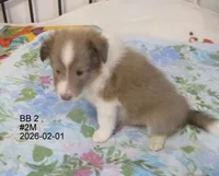 processed/87cbb735-272b-468d-babc-acc1a0fbe42f/listing/e8b94a06-9b6c-463d-904b-d73ef5f448e5/b332fade-76e1-4137-a841-ddf265d249ac