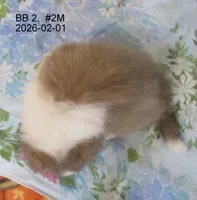 processed/87cbb735-272b-468d-babc-acc1a0fbe42f/listing/e8b94a06-9b6c-463d-904b-d73ef5f448e5/eadde9de-d583-463d-a1df-f24652ec8be9