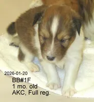 processed/87cbb735-272b-468d-babc-acc1a0fbe42f/listing/f847928f-a84d-4bf8-9c57-dfcd1f2441f3/9a6f9a06-1aee-4bae-a784-5709bf5273c9