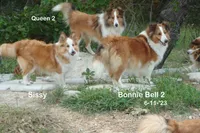 processed/87cbb735-272b-468d-babc-acc1a0fbe42f/listing/f847928f-a84d-4bf8-9c57-dfcd1f2441f3/b79d94f8-f053-4806-a874-f7af62b5f05d