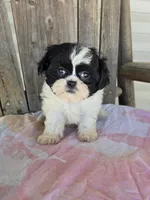 processed/87d11a2e-caa0-4dde-8dc3-c62e3933055f/listing/37e3e9ca-af7e-4fcd-82f8-18d31acfed97/73fa8617-3d57-4195-9a53-47a152a6dd4a