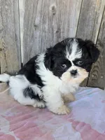 processed/87d11a2e-caa0-4dde-8dc3-c62e3933055f/listing/37e3e9ca-af7e-4fcd-82f8-18d31acfed97/8fc8a554-043c-4790-b4dd-ac0e7207a94c