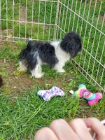 processed/87d11a2e-caa0-4dde-8dc3-c62e3933055f/listing/b6612f45-21fc-4adf-a1b5-415b5b52c9c6/03e82edf-edfb-4161-997b-10048c1e8e72