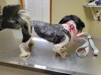 processed/87d11a2e-caa0-4dde-8dc3-c62e3933055f/listing/b6612f45-21fc-4adf-a1b5-415b5b52c9c6/70d53ec6-f023-4701-b767-e8ec14b80b41