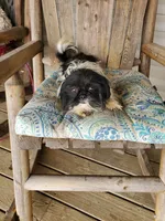 processed/87d11a2e-caa0-4dde-8dc3-c62e3933055f/listing/b6612f45-21fc-4adf-a1b5-415b5b52c9c6/715d0666-4880-40e0-87ec-032c8d4e6f23