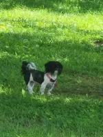 processed/87d11a2e-caa0-4dde-8dc3-c62e3933055f/listing/b6612f45-21fc-4adf-a1b5-415b5b52c9c6/8f73c4d4-fcd0-4c70-af35-5cad09363506