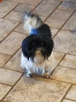 processed/87d11a2e-caa0-4dde-8dc3-c62e3933055f/listing/b6612f45-21fc-4adf-a1b5-415b5b52c9c6/92a15aa9-bbb1-47dd-9c94-712808e061e7