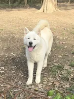 processed/87d11a2e-caa0-4dde-8dc3-c62e3933055f/listing/d62d956d-244f-4220-aa4f-7dbdfb2032eb/ccb8105f-18bd-4fcd-aaf6-98495981ce6c