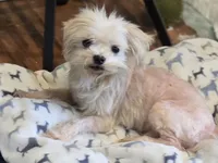 processed/87d11a2e-caa0-4dde-8dc3-c62e3933055f/listing/eee1980c-150a-40d1-9e40-2702e2595836/1b4056f3-7e22-4ba6-8277-fb326d8fad70