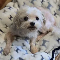 processed/87d11a2e-caa0-4dde-8dc3-c62e3933055f/listing/eee1980c-150a-40d1-9e40-2702e2595836/25361d6a-ae07-479b-b75e-5ae1276a73f7