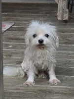 processed/87d11a2e-caa0-4dde-8dc3-c62e3933055f/listing/eee1980c-150a-40d1-9e40-2702e2595836/65824090-491d-4927-b94d-bd59cfbd09ed