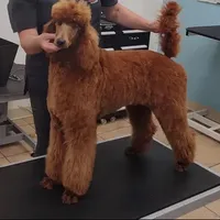 processed/87e52953-56d8-4b92-9406-3c7c220110e2/facility/6d6d6b18-039b-4dab-b6ef-cc196b8f395a