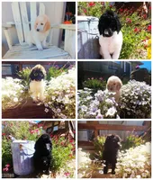 processed/87e52953-56d8-4b92-9406-3c7c220110e2/facility/717103e3-fec7-48df-9044-3358731ab95a