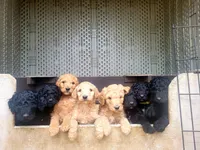 processed/87e52953-56d8-4b92-9406-3c7c220110e2/facility/772fc73e-da32-4968-9cec-683085bd043a