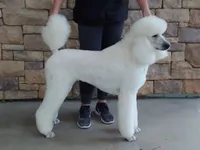 processed/87e52953-56d8-4b92-9406-3c7c220110e2/facility/8086b7cb-83e9-4345-a0a0-d3e6c0f7f9a3