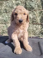 processed/87e52953-56d8-4b92-9406-3c7c220110e2/facility/a4054b41-b0d5-4603-ab5a-9a5e273f86da