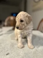 processed/87e52953-56d8-4b92-9406-3c7c220110e2/listing/12f5dee9-5745-4536-b1aa-8070ba02c5ac/237115a6-cce0-434d-b7f5-750c973e7ec1