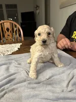 processed/87e52953-56d8-4b92-9406-3c7c220110e2/listing/12f5dee9-5745-4536-b1aa-8070ba02c5ac/53a71e46-6340-4bd1-90de-63b2a399d7d7