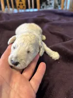 processed/87e52953-56d8-4b92-9406-3c7c220110e2/listing/12f5dee9-5745-4536-b1aa-8070ba02c5ac/6c915834-27e0-4b02-aba8-daa19dc4806b