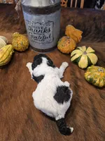 Cammi, a female Poodle - Standard  for sale in Temecula, CA – Photo 8 of 8