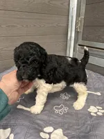 processed/87e52953-56d8-4b92-9406-3c7c220110e2/listing/65f9e24e-1fec-4ec2-b838-335a963ac4e3/23441dcd-1645-4446-bad4-aab4cdf764ac