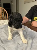 processed/87e52953-56d8-4b92-9406-3c7c220110e2/listing/65f9e24e-1fec-4ec2-b838-335a963ac4e3/235d9234-9af7-443c-9965-5ce39f4786b5